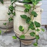 Moroccan Terracotta Pot - Small | Creeping Fig