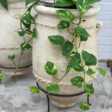 Moroccan Terracotta Pot - Small | Creeping Fig